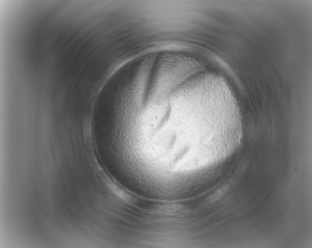 X0000068281417200605051830