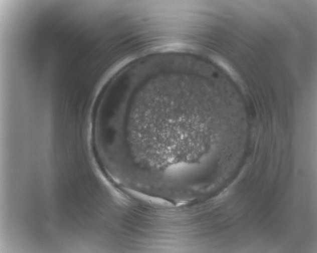 X0000068281418200605051830