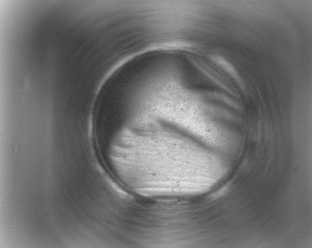 X0000068281420200605051830