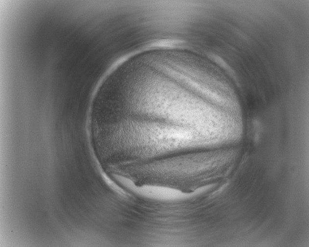 X0000068281421200605051830