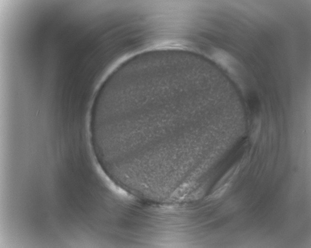 X0000068281422200605051830