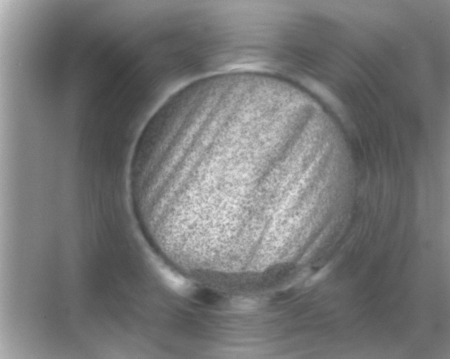 X0000068281423200605051830