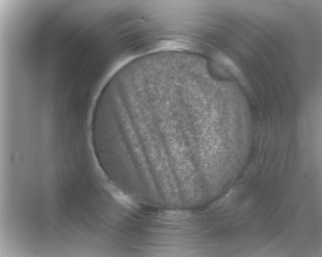 X0000068281427200605051830