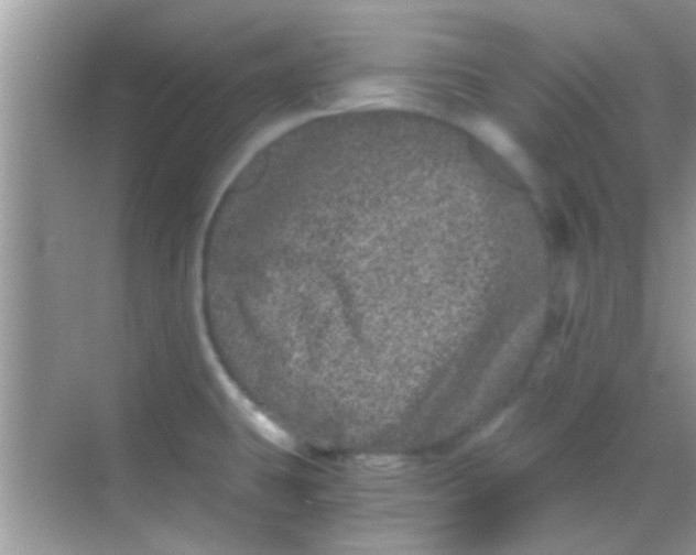 X0000068281431200605051830