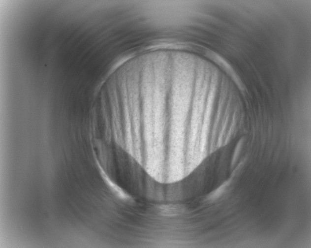 X0000068281433200605051830