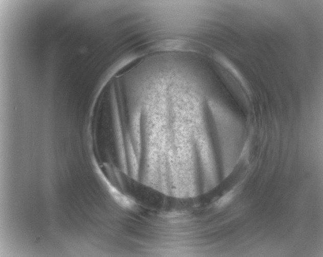 X0000068281434200605051830