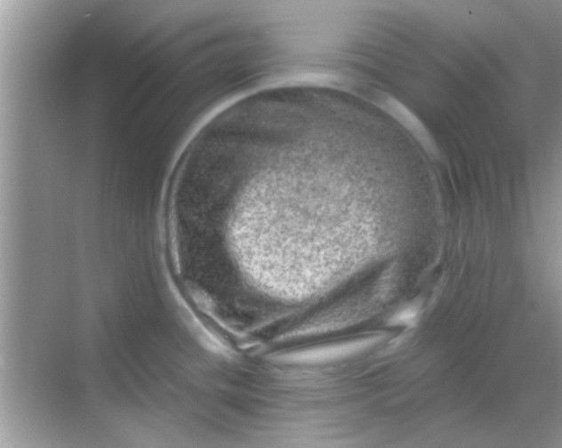 X0000068281436200605051830