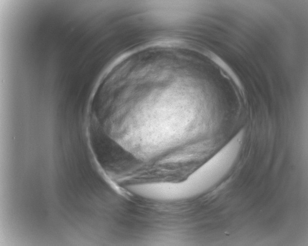 X0000068281437200605051830