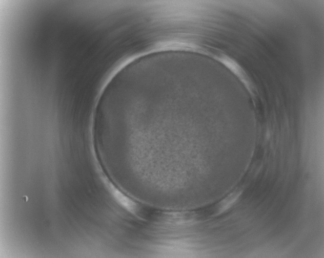 X0000068281438200605051830