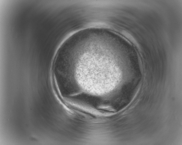 X0000068281440200605051830