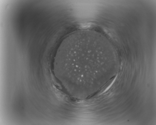 X0000068281441200605051829