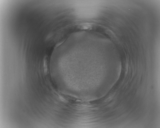 X0000068281442200605051829