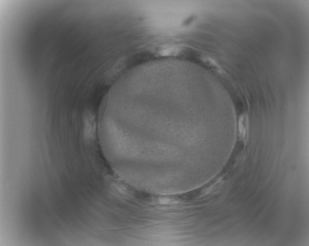 X0000068281443200605051829