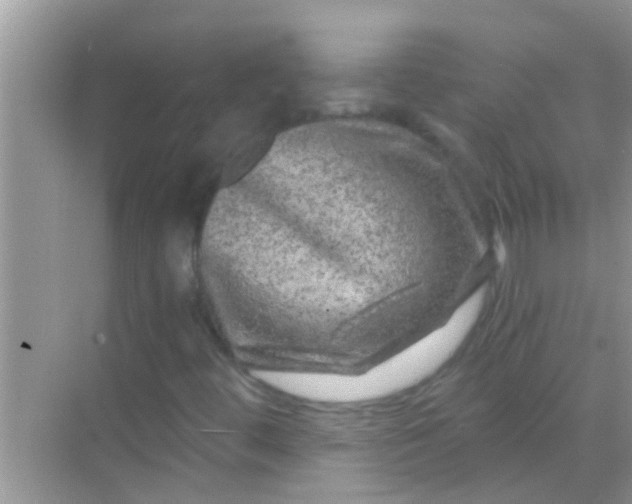 X0000068281444200605051829