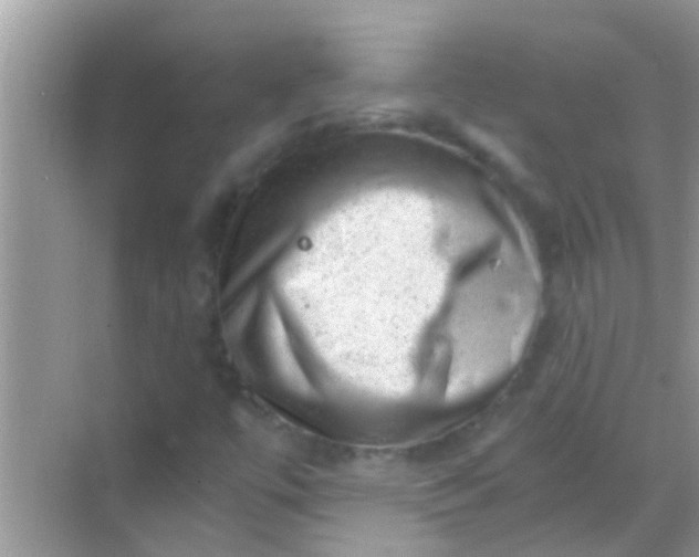 X0000068281447200605051829