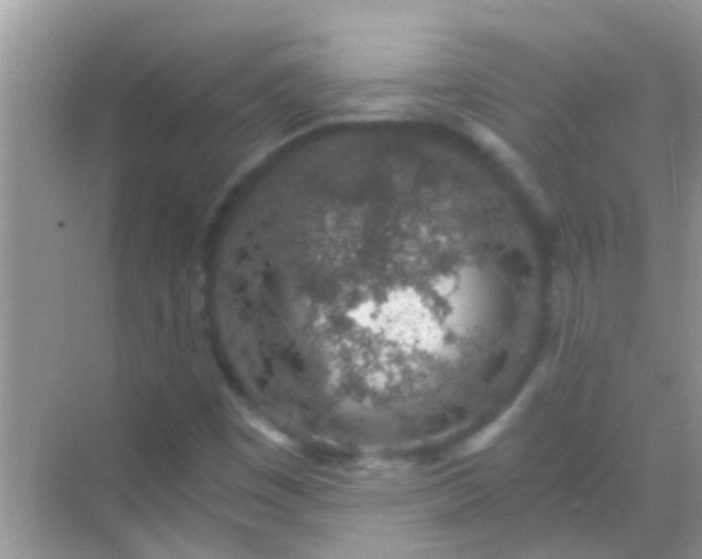 X0000068281449200605051829