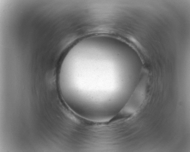 X0000068281450200605051829