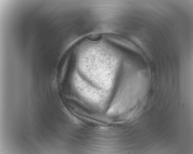 X0000068281452200605051829