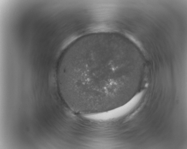 X0000068281453200605051829