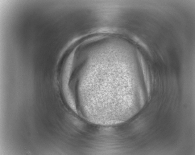 X0000068281454200605051829