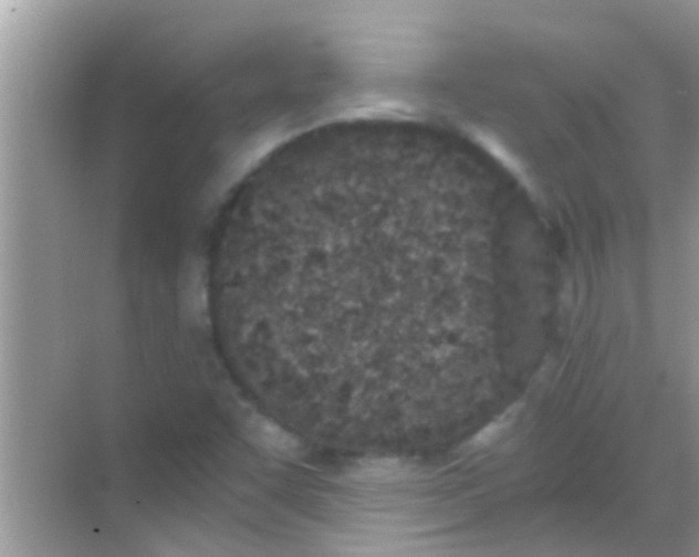 X0000068281455200605051829