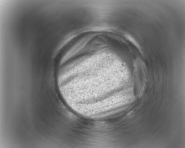 X0000068281456200605051829