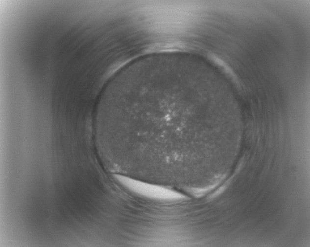 X0000068281457200605051829