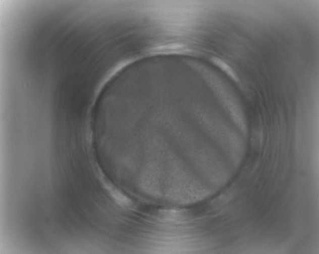 X0000068281458200605051829