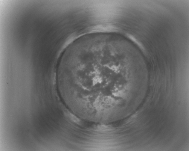 X0000068281459200605051829