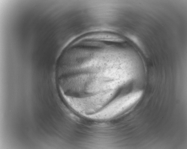 X0000068281460200605051829