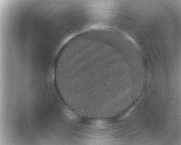 X0000068281461200605051829