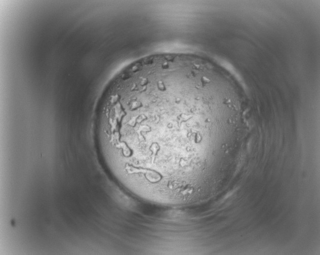 X0000068281463200605051829