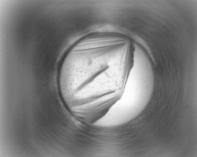 X0000068281464200605051829