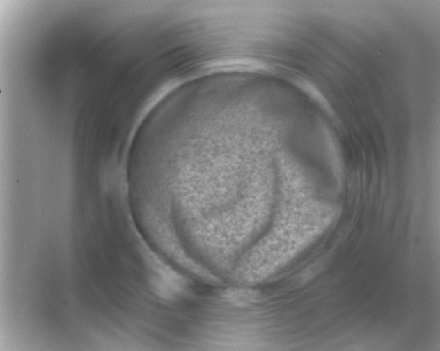 X0000068281466200605051829