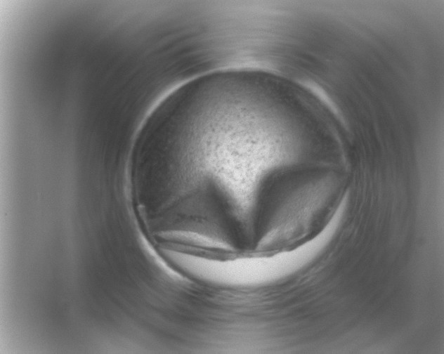 X0000068281468200605051829