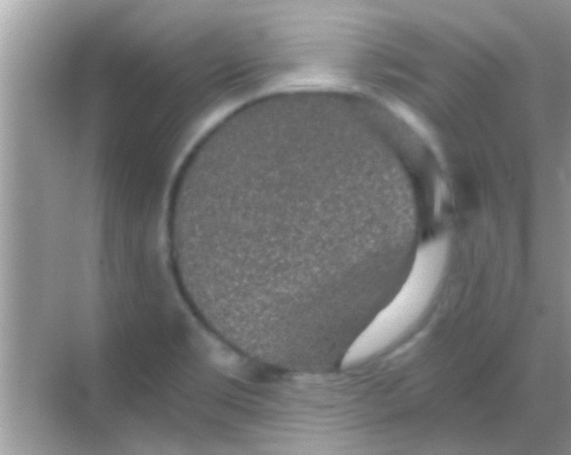 X0000068281469200605051829