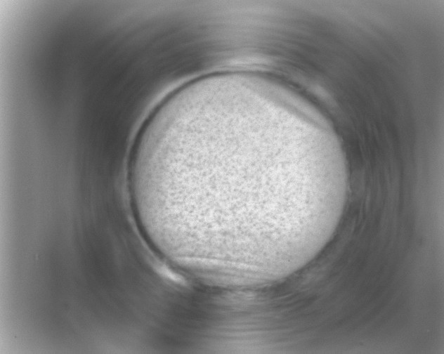 X0000068281470200605051829