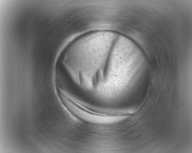 X0000068281472200605051829