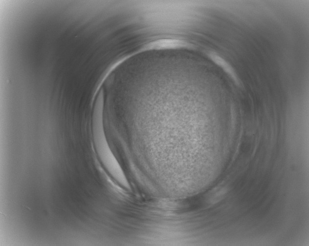 X0000068281473200605051829