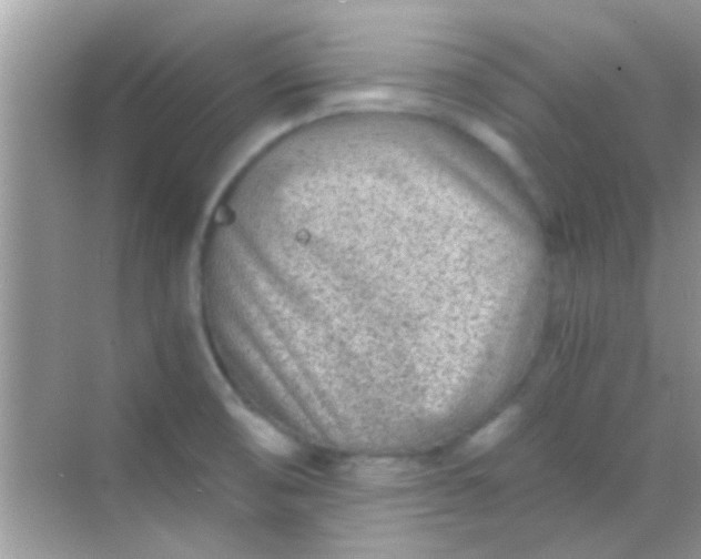 X0000068281474200605051829