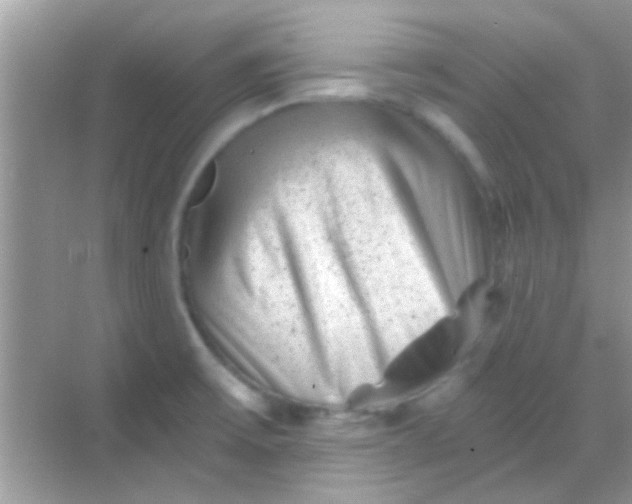 X0000068281475200605051829