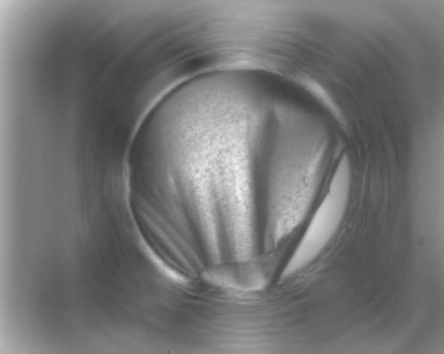 X0000068281476200605051829