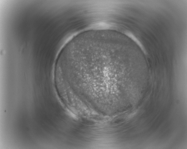 X0000068281477200605051829