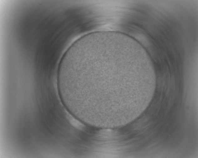 X0000068281478200605051829