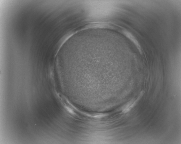 X0000068281481200605051829