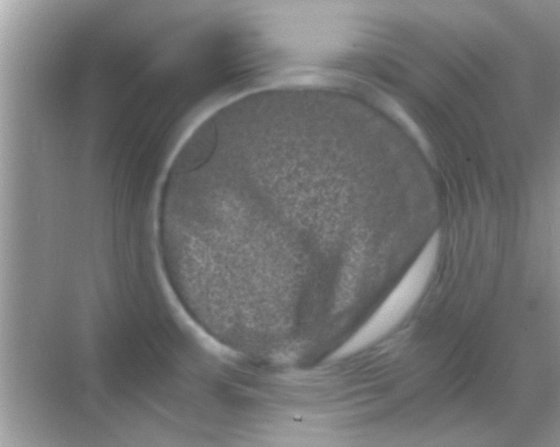 X0000068281483200605051829