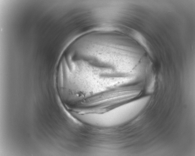 X0000068281484200605051828