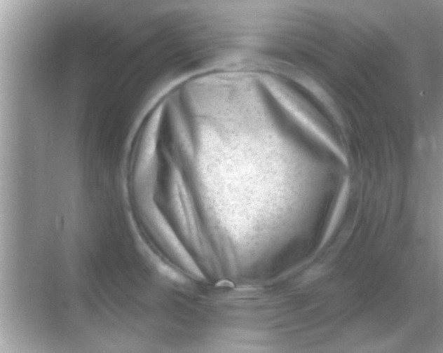 X0000068281486200605051828