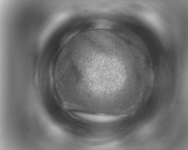 X0000068281487200605051828