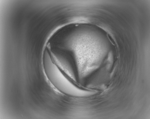 X0000068281488200605051828